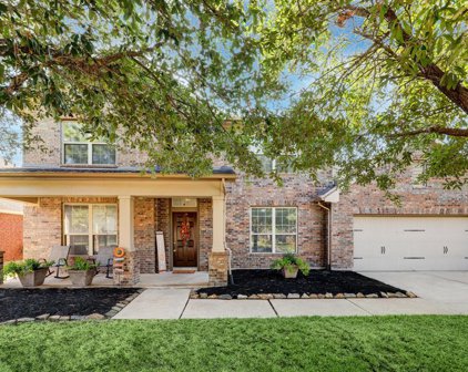 20203 Stanton Lake Drive, Cypress