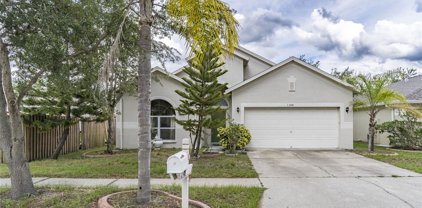 1348 Dragon Head Drive, Valrico
