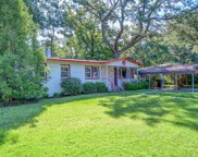 50 Briarcliff Drive, Charleston image