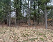 Whitehall, Fruitland Twp image