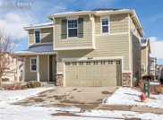 1417 Red Mica Way, Monument image