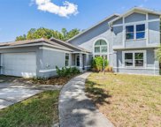 5221 Spike Horn Drive, New Port Richey image