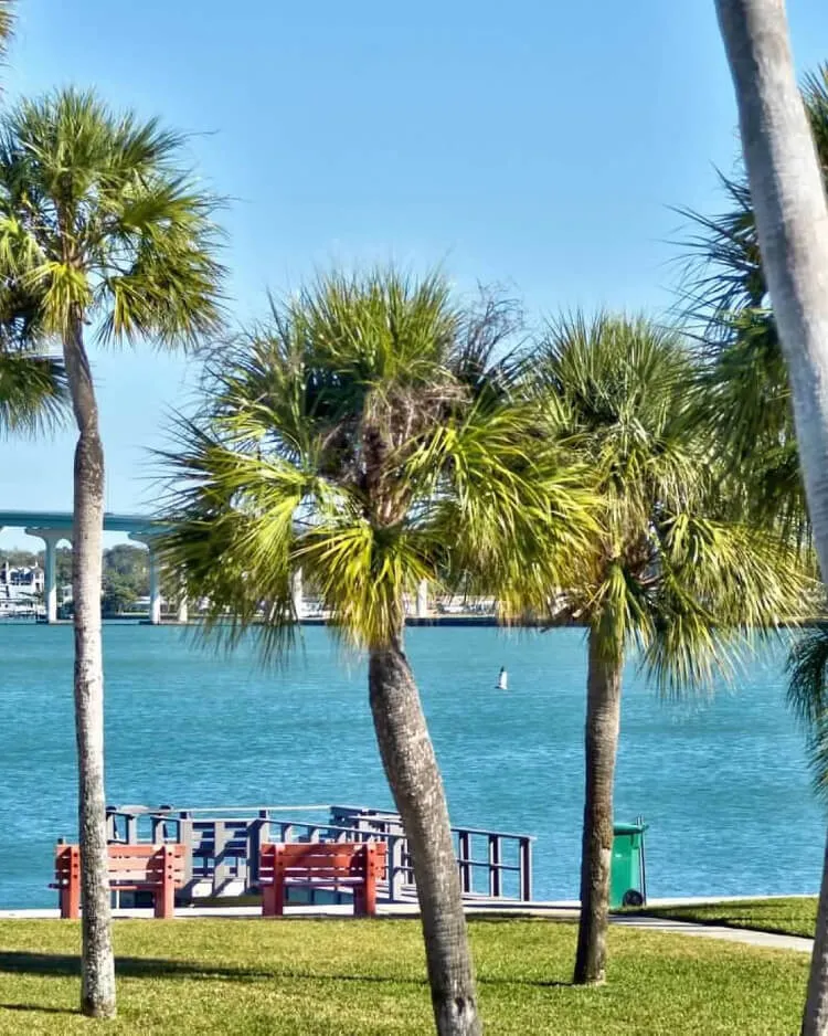 Belleair Beach Real Estate