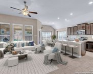 32007 Cast Iron Cove, Bulverde image