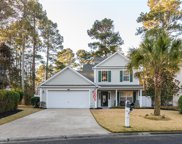 247 Hitching Post Crescent, Bluffton image