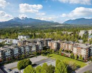 12109 223 Avenue Unit 426, Maple Ridge image