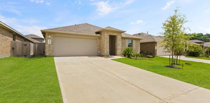 14620 Blackbrush Manor, Magnolia