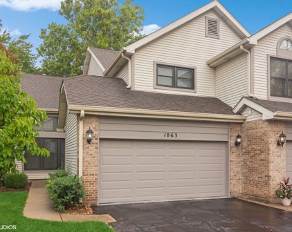 1063 N Auburn Woods Drive Unit #1063, Palatine