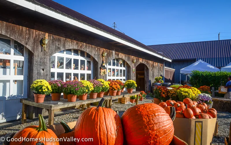 Farm Market in Warwick New York