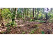 Park RD, Port Orford image