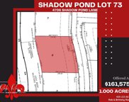 4706 Shadow Pond Ln, Alvin image