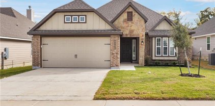4796 Native Tree, College Station