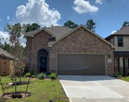 18984 Cicerone Ct, New Caney image