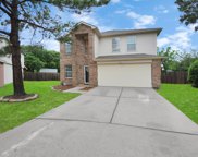 7819 American Holly Court, Cypress image