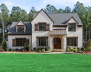 688 Crescent River Pass, Suwanee image