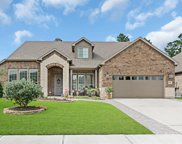 254 Appaloosa Court, The Woodlands image