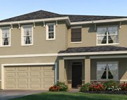 33391 Apricot  Tree Court, Wesley Chapel image