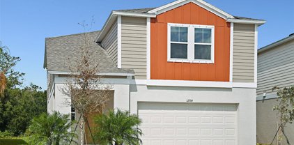 11371 Brook Edge Avenue, Riverview