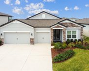 31271 Palm Song Place, Wesley Chapel image