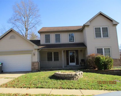 12804 Meadowdale  Drive, St Louis
