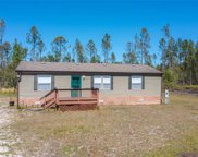 330 Volusian Forest Trail, Pierson image