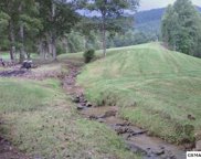 950 CANEY CREEK RD, Pigeon Forge image