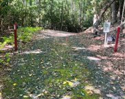 TBD Marian Mountain Road, Crumpler image