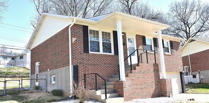 9055 Amona  Drive, St Louis