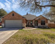 9206 Putnam Dr, Helotes image