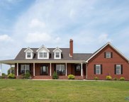 1091 County Road 295, Higdon image