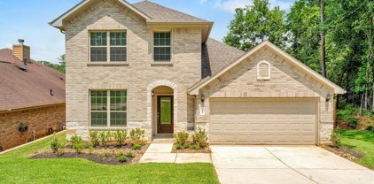 13718 Vail Drive, Montgomery