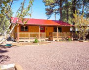 2074 Thousand Pines Drive, Overgaard image