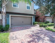 17337 Old Tobacco Rd, Lutz image