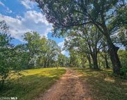 19330 County Road 68, Robertsdale image