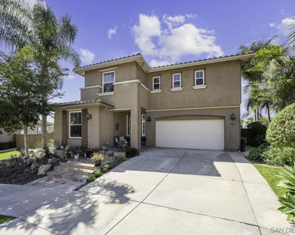 3407 Pleasant Vale, Carlsbad