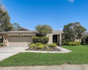 3582 Fairway Forest Drive, Palm Harbor image