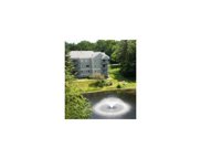 30 LEDGEWOOD HILLS Unit #202, Nashua image
