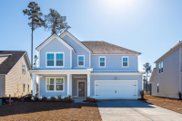 559 Yellow Leaf Lane, Summerville image