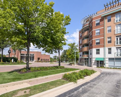 400 Village Circle Unit #503, Willow Springs