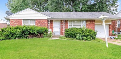 1206 Astoria  Drive, St Louis