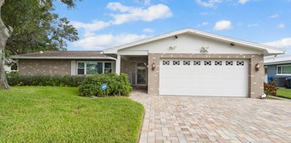 2156 Egret Drive, Clearwater