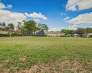 21312 Sky Vista Drive, Land O' Lakes image