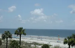 View of the White Sandy Beaches in the Forest Beach area of Hilton Head, SC