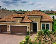 20118 Umbria Hill Drive, Tampa image