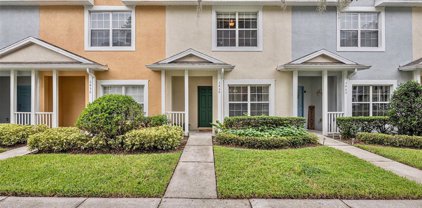 3458 High Hampton Circle, Tampa