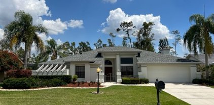 14890 American Eagle Court, Fort Myers