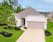 225 Palomino Court, The Woodlands image