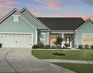 133 Camelia Park Lane, Summerville image
