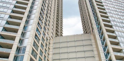 600 N Lake Shore Drive Unit #1109, Chicago