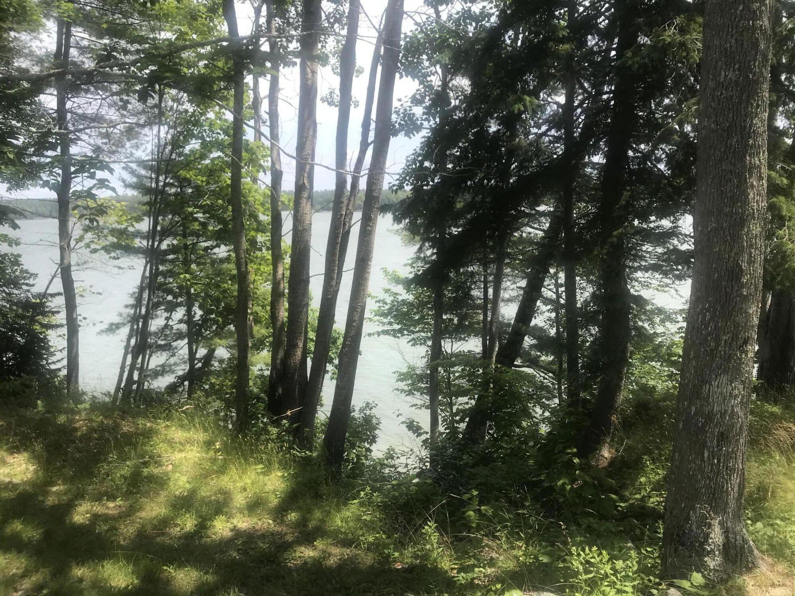 766 Bay Road, Blue Hill, 04614